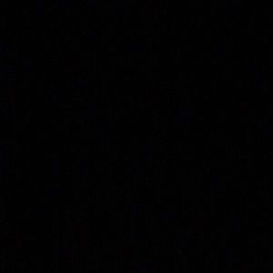 Meet your Posher, Brie